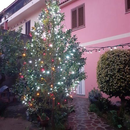 L'Agrifoglio Di Emy Bed & Breakfast Guspini Luaran gambar