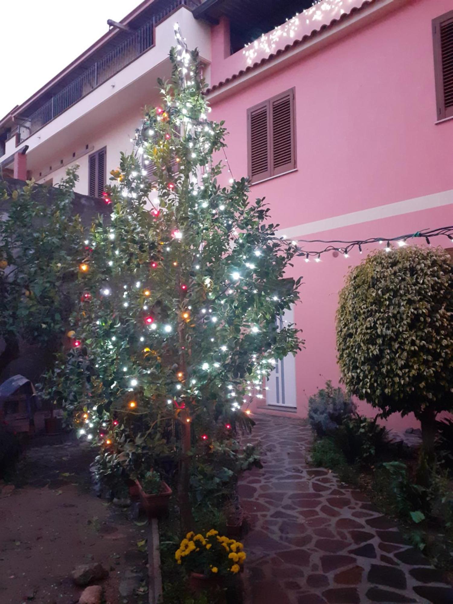 L'Agrifoglio Di Emy Bed & Breakfast Guspini Luaran gambar